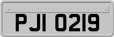 PJI0219