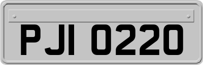 PJI0220