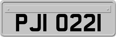 PJI0221