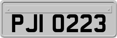 PJI0223