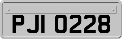 PJI0228