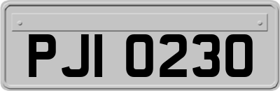 PJI0230