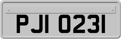 PJI0231