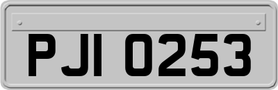 PJI0253