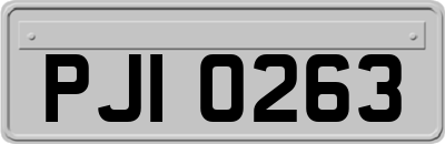 PJI0263