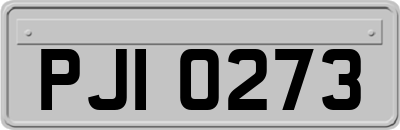 PJI0273