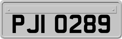 PJI0289