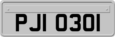 PJI0301