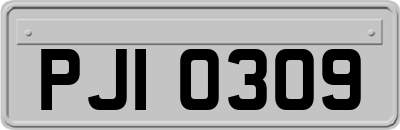 PJI0309