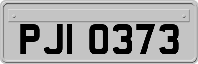 PJI0373