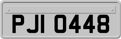 PJI0448