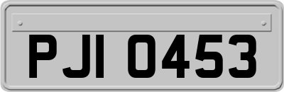 PJI0453