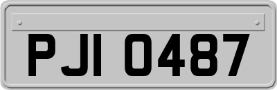 PJI0487