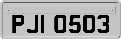 PJI0503