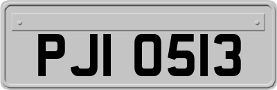 PJI0513