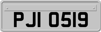 PJI0519