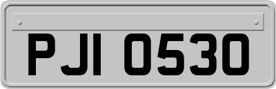 PJI0530