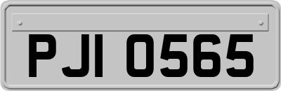 PJI0565
