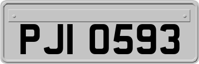 PJI0593
