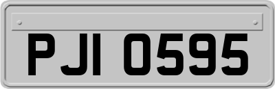 PJI0595
