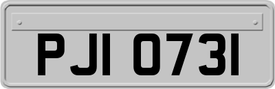 PJI0731