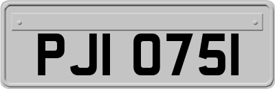 PJI0751