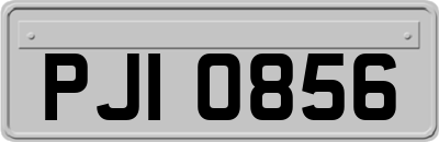 PJI0856