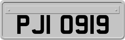 PJI0919