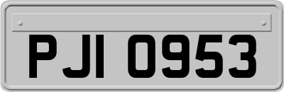 PJI0953