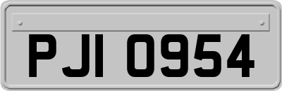 PJI0954