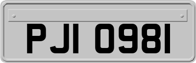 PJI0981