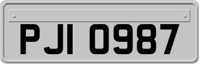 PJI0987