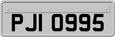 PJI0995