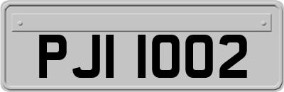 PJI1002