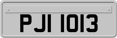 PJI1013