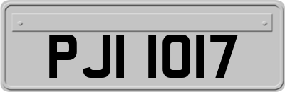PJI1017