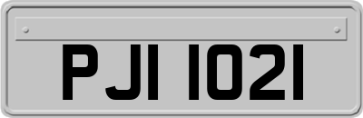 PJI1021