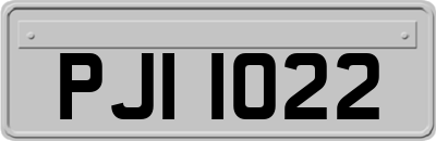 PJI1022