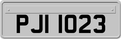 PJI1023