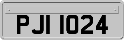 PJI1024