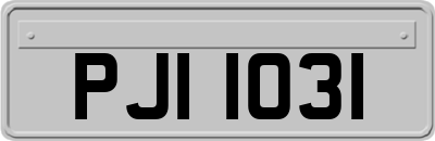 PJI1031