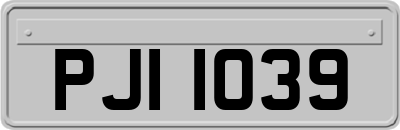 PJI1039