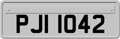 PJI1042