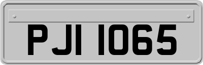 PJI1065