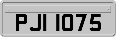 PJI1075