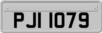 PJI1079