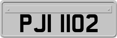 PJI1102