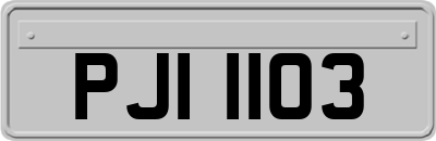 PJI1103