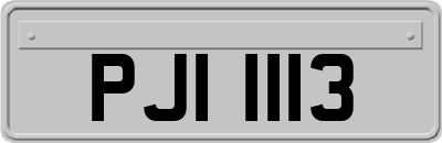 PJI1113