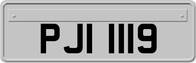 PJI1119